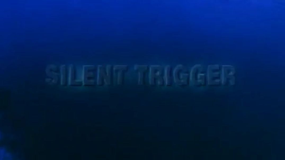 Silent Trigger (1996)