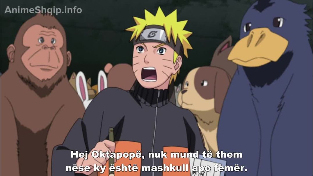 Naruto Shipuden episodi 255 Me titra Shqip