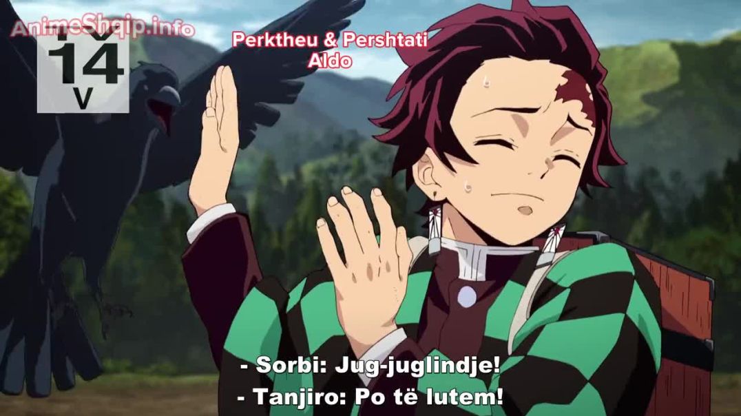 Demon Slayer: Kimetsu no Yaiba Me titra Shqip Episodi 11